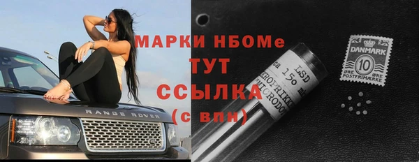гашик Алзамай