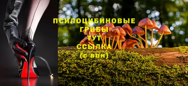 шишки Алексеевка