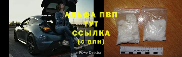 стафф Алексин