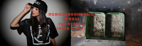 шишки Алексеевка