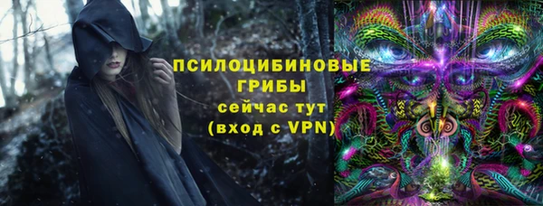 стафф Алексин