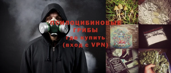 гашик Алзамай