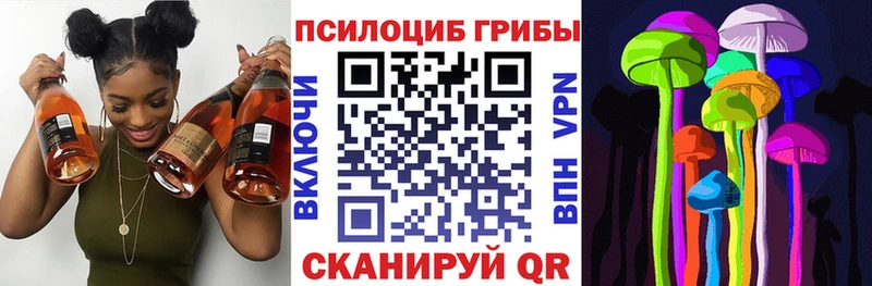 цены   Переславль-Залесский  Псилоцибиновые грибы MAGIC MUSHROOMS 