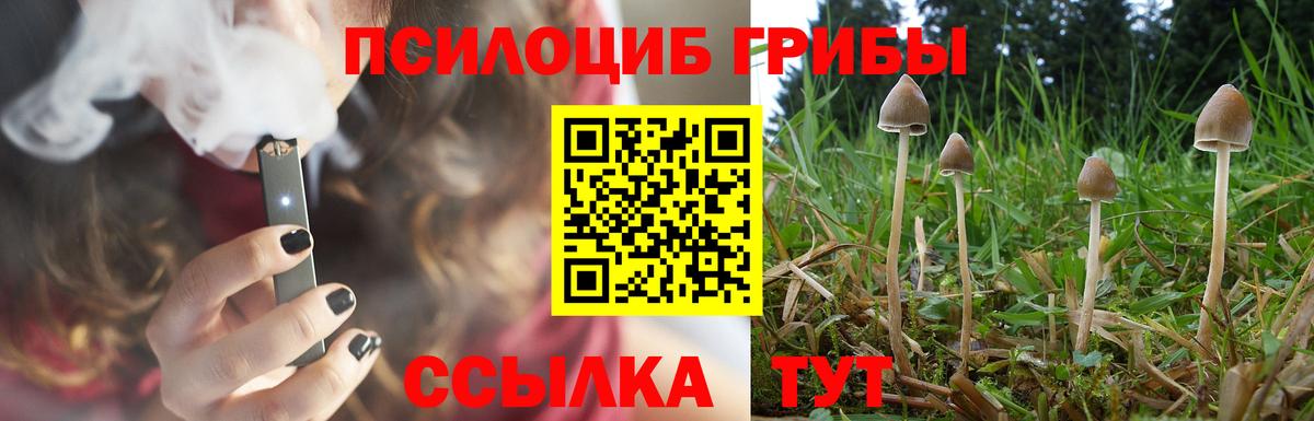 Псилоцибиновые грибы прущие грибы Переславль-Залесский