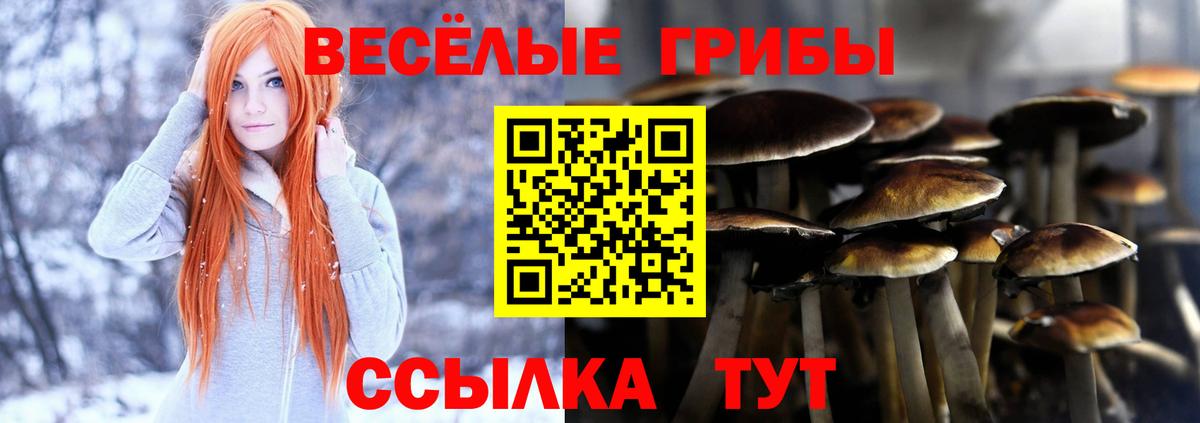 Псилоцибиновые грибы ЛСД  Вход с VPN  Переславль-Залесский  Псилоцибиновые грибы мицелий 